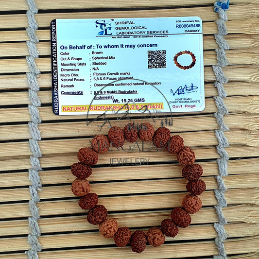 Ten Mukhi 12-13mm Bead Bracelet -Lab Certified, 10 Mukhi Rudraksha Bracelet, Shiva Bracelet, Yoga Bracelet, Ten Faced Rudraksha Bracelet