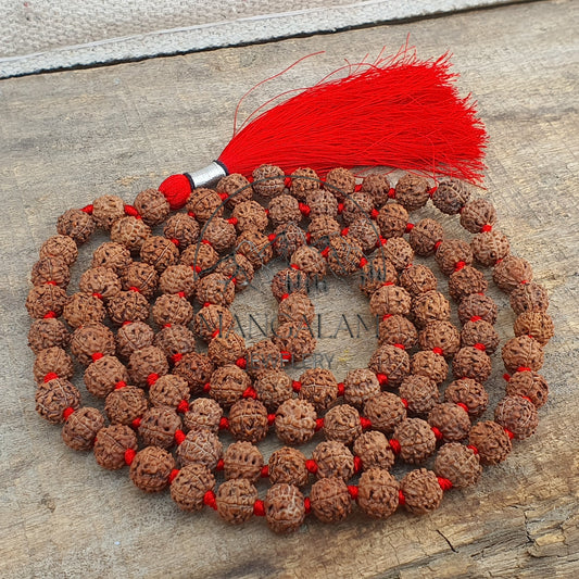 Authentic 5 Mukhi Nepali Rudraksha Mala 12MM- Lab Certified, Five Face Rudraksha Mala, 108+1 Beads, Nepalese Rudraksha Mala