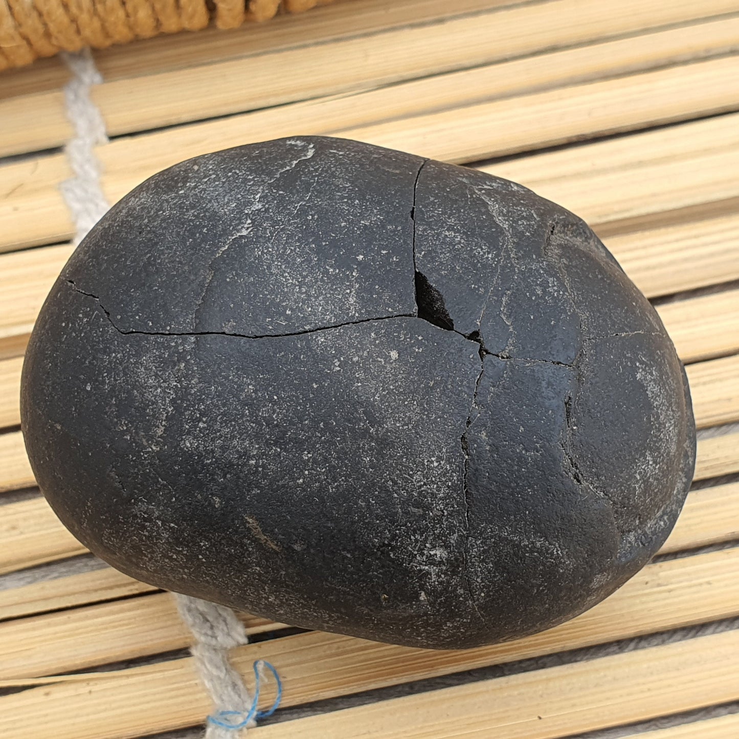 Shri Laxmi Narayan Shaligram, Rare & Special Two Piece, Religious Gifts, Saligram Stone - Gandaki River Nepal, Ritual Object