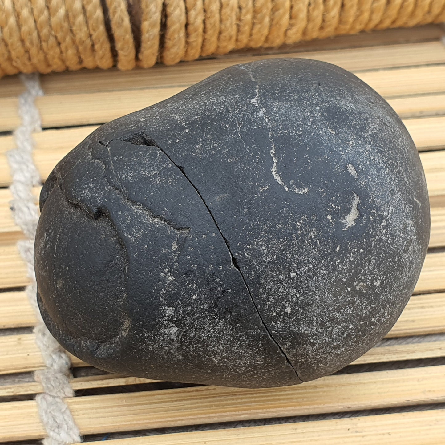 Shri Laxmi Narayan Shaligram, Rare & Special Two Piece, Religious Gifts, Saligram Stone - Gandaki River Nepal, Ritual Object