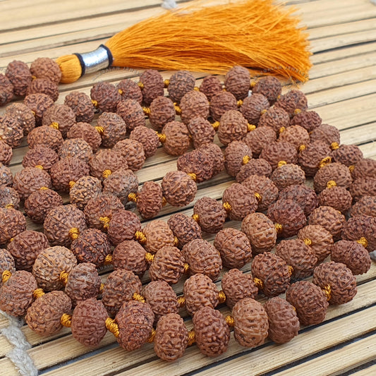 Rare Big size 10 Mukhi Rudraksha Mala, Lab certified 10 Mukhi Rudraksha Necklace, Spiritual Gifts, Statement Necklace, Handmade Jewelry