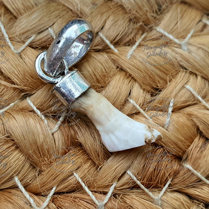 Natural Ketu Mani Stone Locket Pendant in 925 Silver • Reduce and Remove Impact of Planet Ketu • Ketu Mukta Mani • Lab-Certified