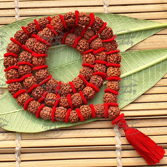 Nepali 4 Mukhi Rudraksha Kantha 54 Beads Mala Necklace, Large Rudraksha Seed Beads, Rudraksha Kantha Mala, Seed Prayer Mala, Spiritual Gifts