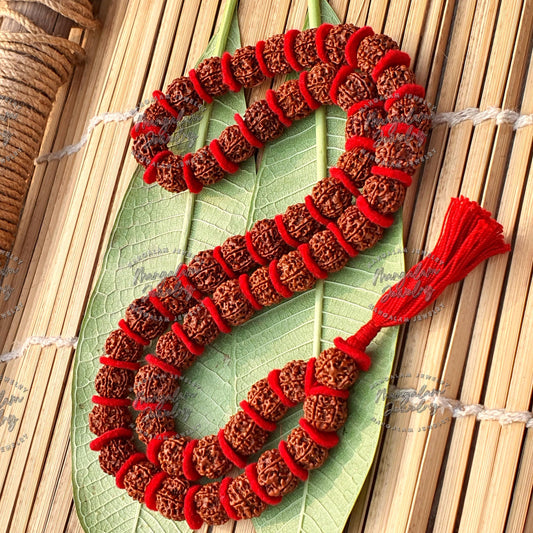 Nepali 6 Mukhi Rudraksha Kantha 54 Beads Mala Necklace, Large Rudraksha Seed Beads, Rudraksha Kantha Mala, Seed Prayer Mala, Spiritual Gifts
