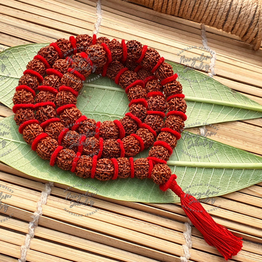 Nepali 6 Mukhi Rudraksha Kantha 54 Beads Mala Necklace, Large Rudraksha Seed Beads, Rudraksha Kantha Mala, Seed Prayer Mala, Spiritual Gifts