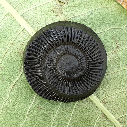 Golden Sudershan Shaligram, Religious Gifts, Sudarshan Saligram Stone, Sudershan Shaligram Gandaki River Nepal, Ritual Object