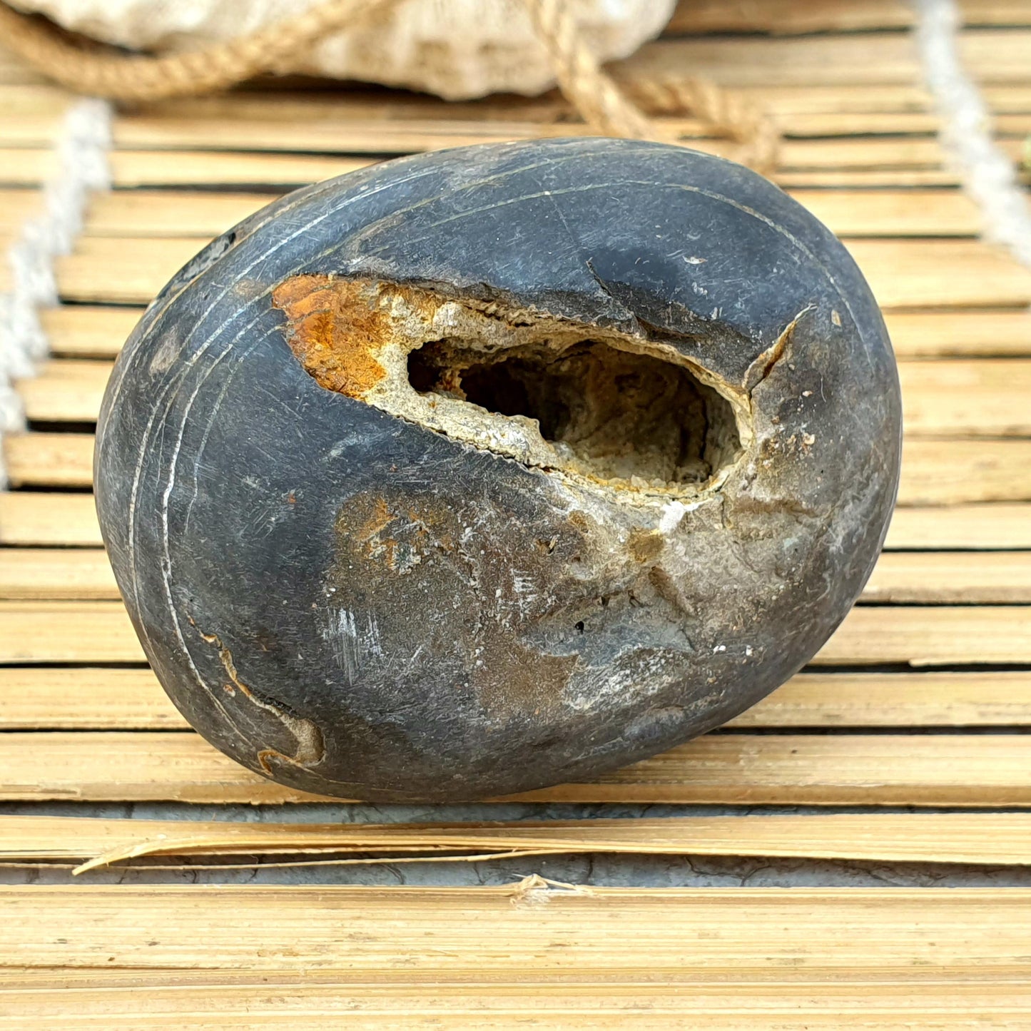 Rare Yellow and white Laxmi Narayan Shaligram, Laxmi Narayn Shaligram, Spiritual Shaligram, Shaligram From Nepal