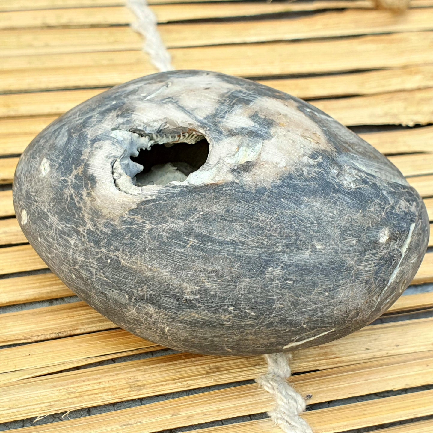 Extremely Rare Narsimha Shaligram, White Brown Shaligram, Religious Gifts, Saligram Stone, Gandaki River Nepal, Ritual Object, Pooja Item