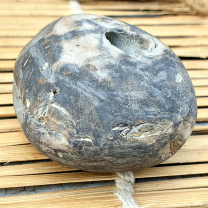 Extremely Rare Narsimha Shaligram, White Brown Shaligram, Religious Gifts, Saligram Stone, Gandaki River Nepal, Ritual Object, Pooja Item
