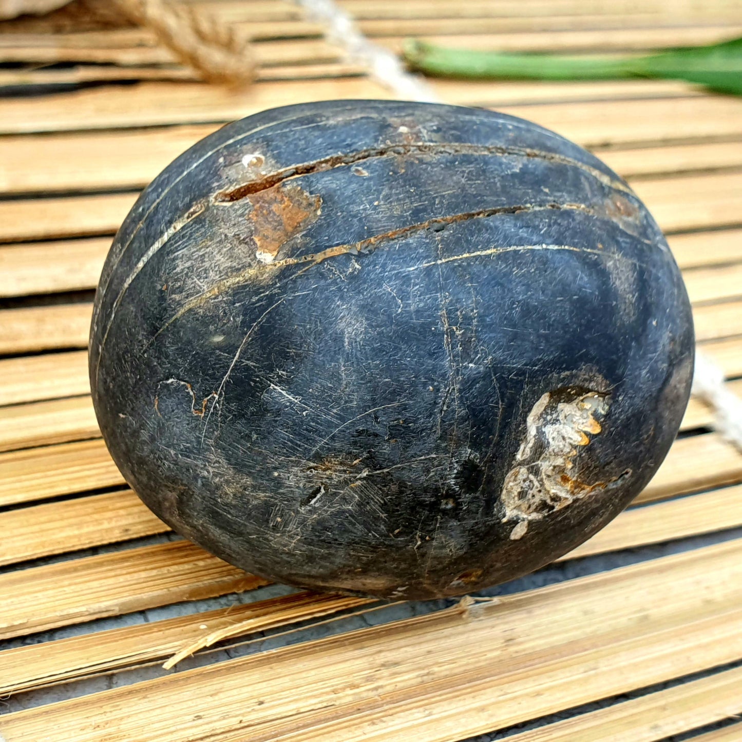 Rare Yellow and white Laxmi Narayan Shaligram, Laxmi Narayn Shaligram, Spiritual Shaligram, Shaligram From Nepal