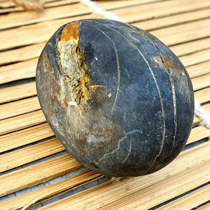 Rare Yellow and white Laxmi Narayan Shaligram, Laxmi Narayn Shaligram, Spiritual Shaligram, Shaligram From Nepal