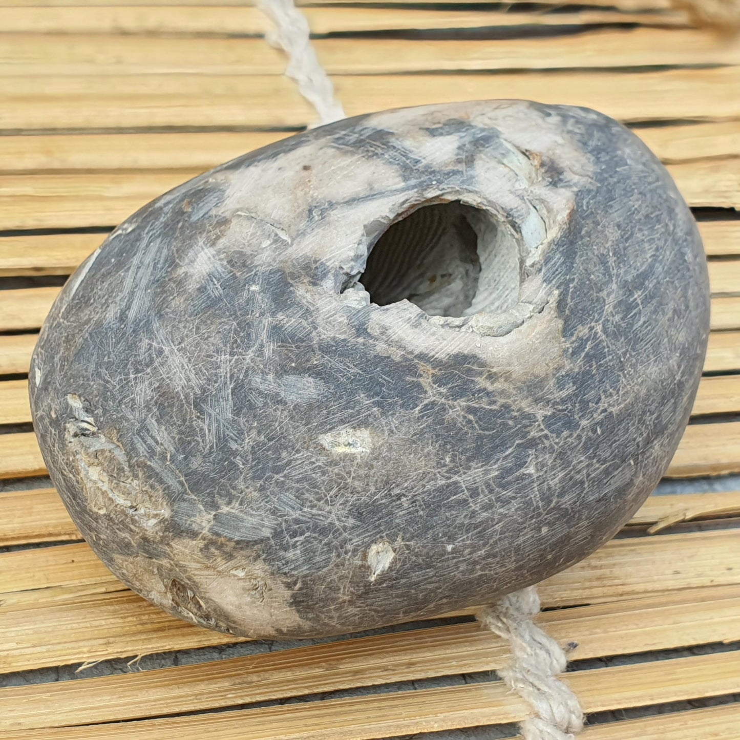 Extremely Rare Narsimha Shaligram, White Brown Shaligram, Religious Gifts, Saligram Stone, Gandaki River Nepal, Ritual Object, Pooja Item