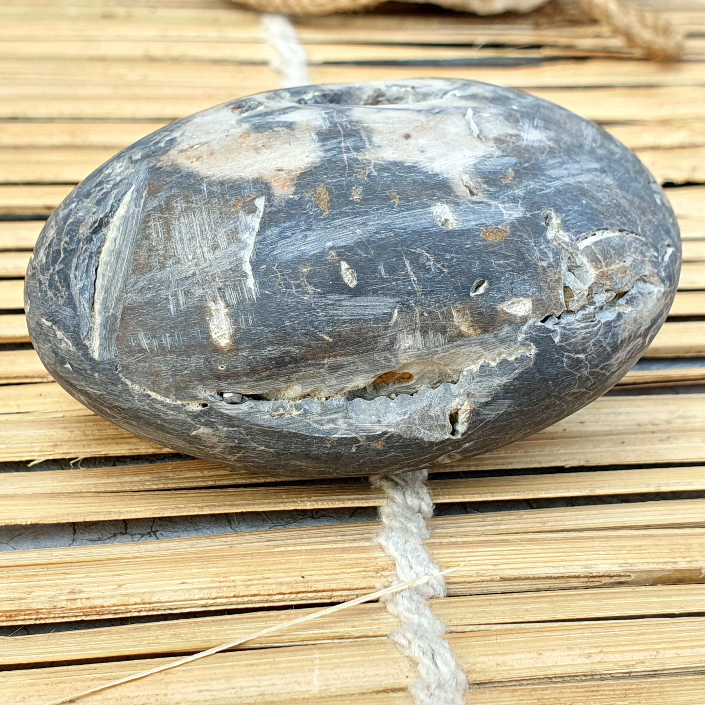 Extremely Rare Narsimha Shaligram, White Brown Shaligram, Religious Gifts, Saligram Stone, Gandaki River Nepal, Ritual Object, Pooja Item