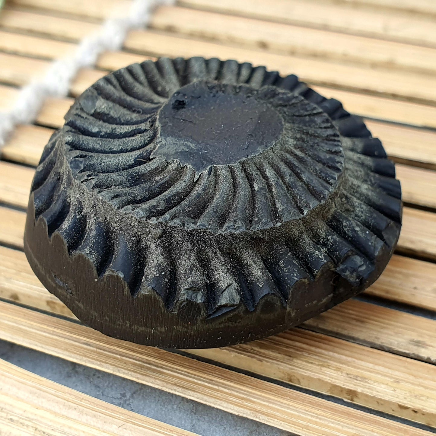 Extremely Rare Natural Golden Sudarshan Shaligram, Brown Sudarshan Shaligram Shila, Sudershan Shaligram Gandaki River Nepal