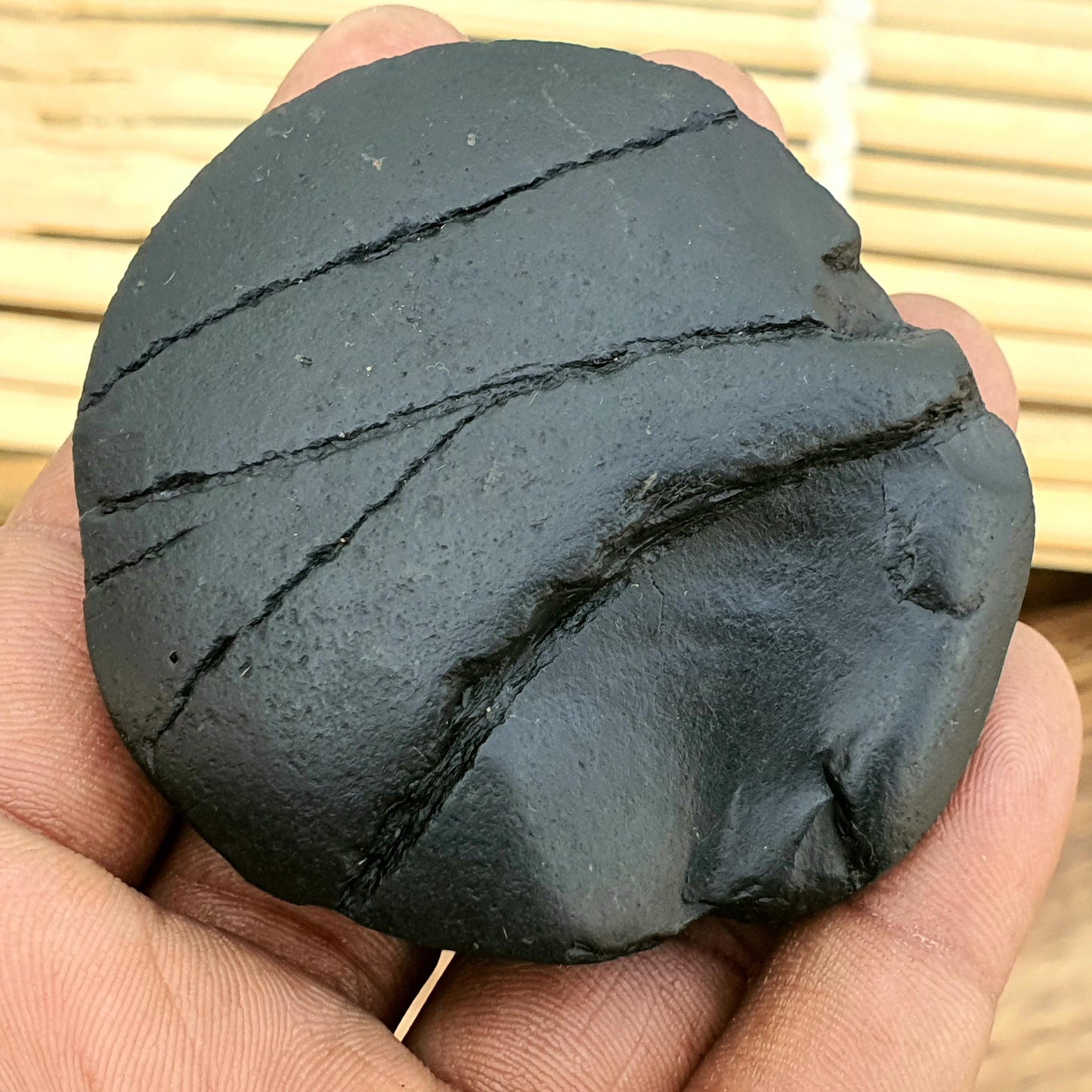 Rare Golden Sudershan Shaligram- Shaligram Stone, Ganddaki Shaligram, Shaligram Shila, Gift For Yoga Lover