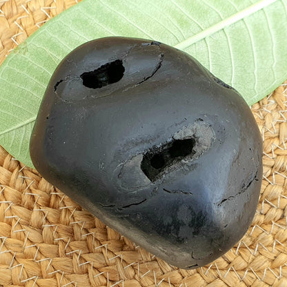 Rare Black 10 Chakra Sita Ram Shaligram, Sita Ram Shaligram, Spiritual Shaligram, Shaligram From Nepal