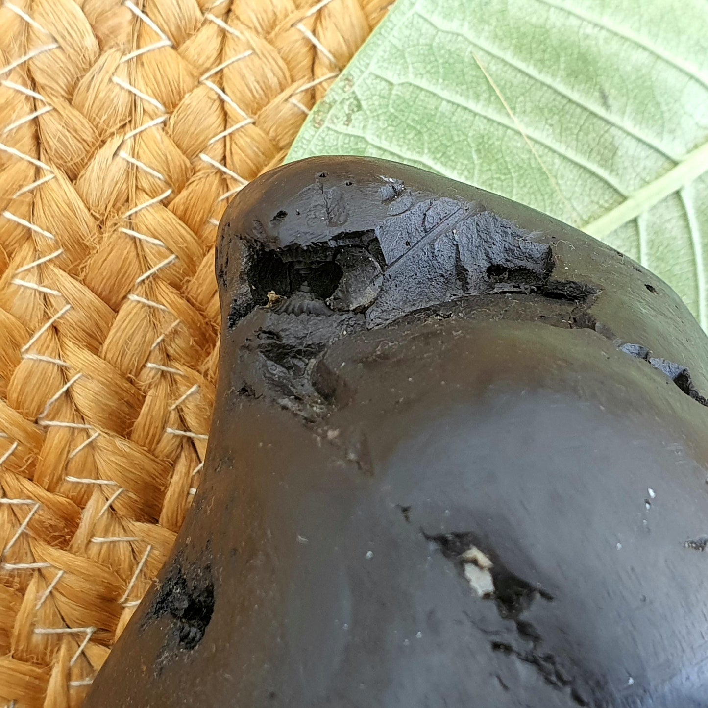 Rare Black 10 Chakra Sita Ram Shaligram, Sita Ram Shaligram, Spiritual Shaligram, Shaligram From Nepal