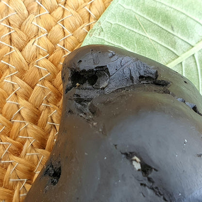 Rare Black 10 Chakra Sita Ram Shaligram, Sita Ram Shaligram, Spiritual Shaligram, Shaligram From Nepal