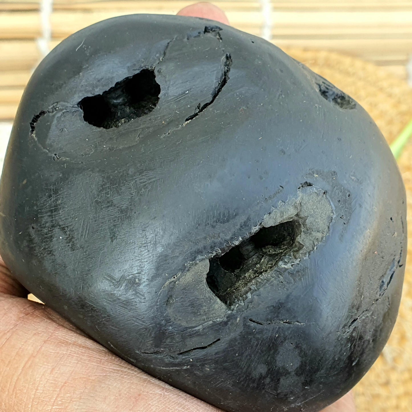 Rare Black 10 Chakra Sita Ram Shaligram, Sita Ram Shaligram, Spiritual Shaligram, Shaligram From Nepal