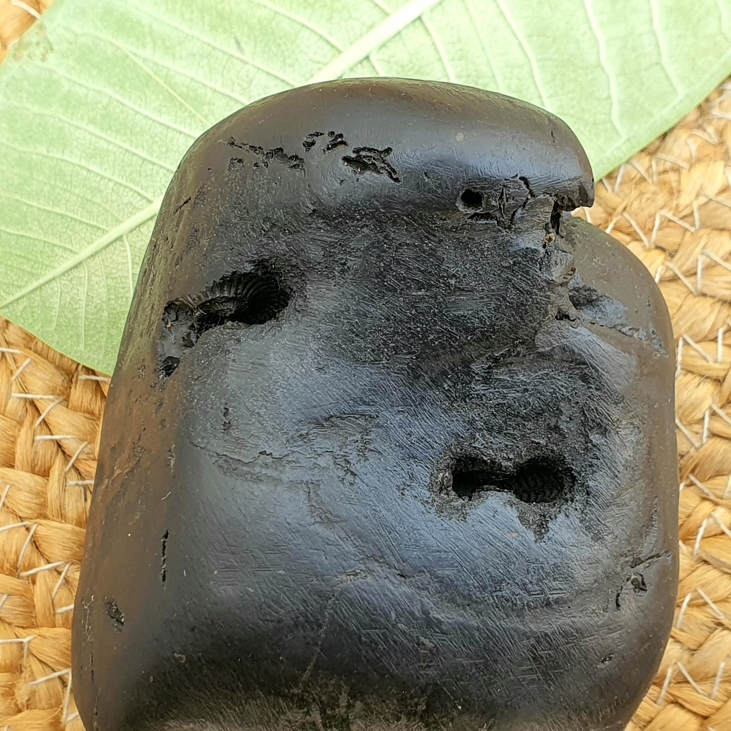 Rare Black 10 Chakra Sita Ram Shaligram, Sita Ram Shaligram, Spiritual Shaligram, Shaligram From Nepal